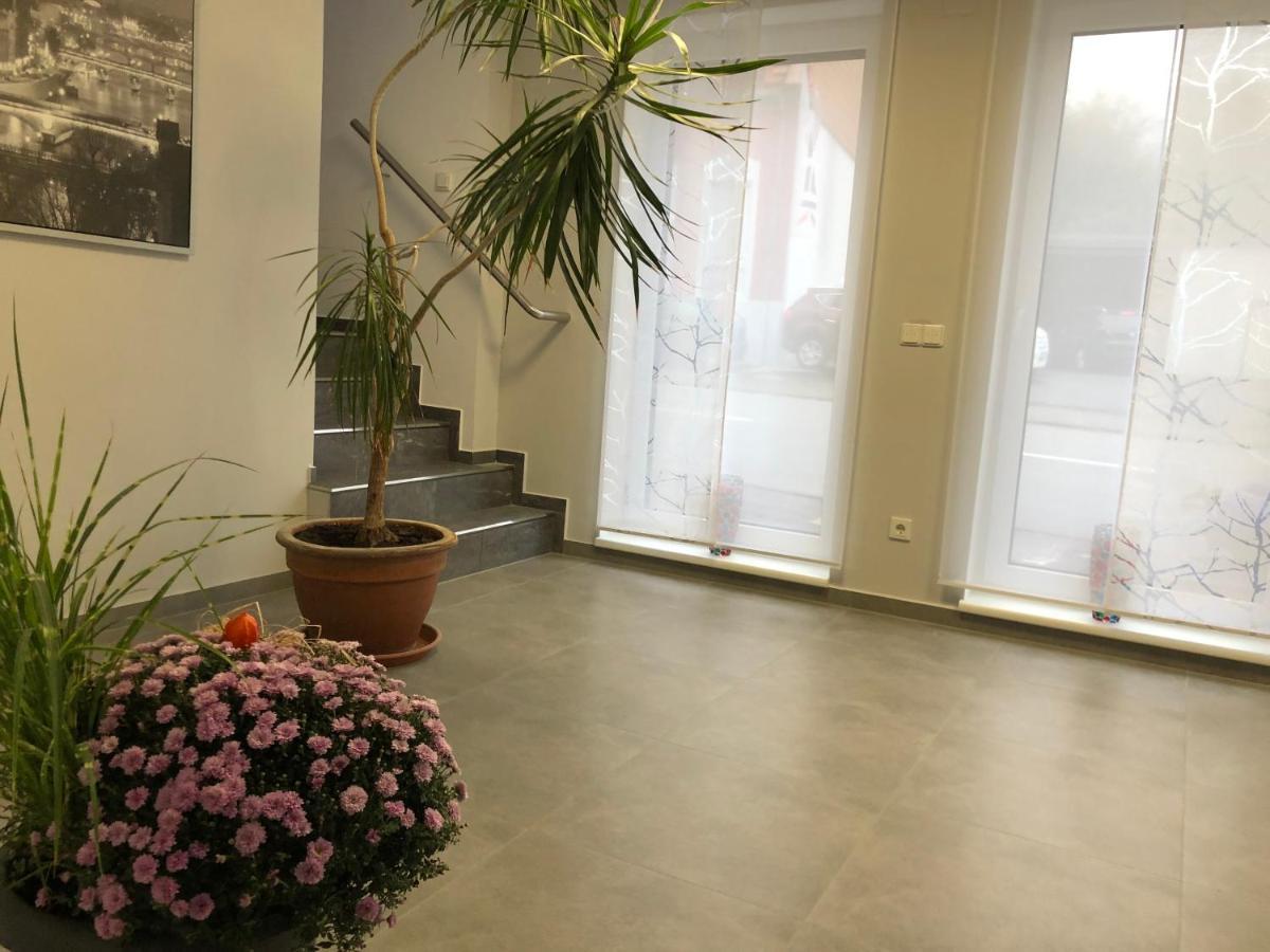 Gaestehaus Residenz Aurora Hotel Friedrichsthal Bagian luar foto